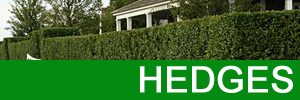 Tweedlandscapes - Gardening Services in Berwick upon Tweed - Hedge Cutting