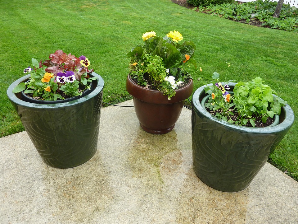 Patio Potted Pots Containers Plant Flowers Garden